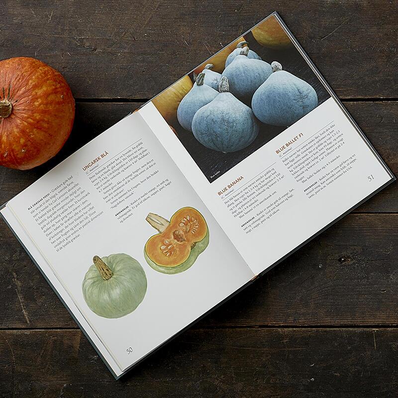 BOOK: The taste of pumpkin (danish text)