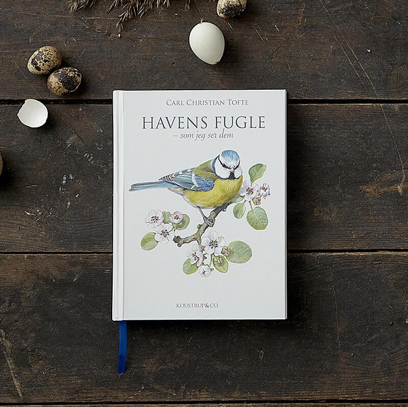 Trädgårdens fåglar - en bok om fågellivet