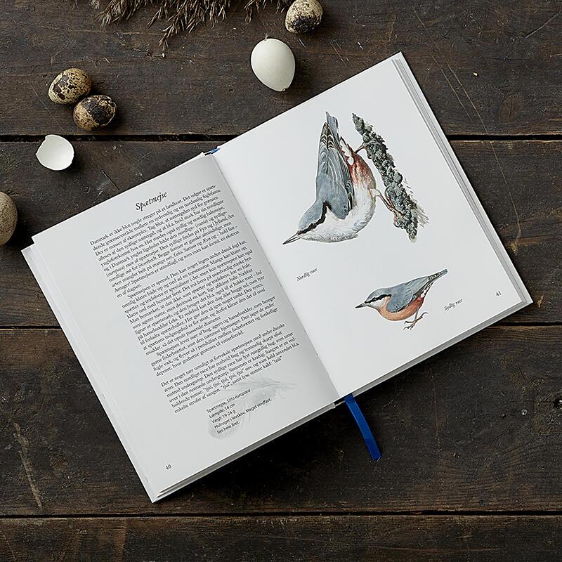 Havens fugle - bog om fugleliv
