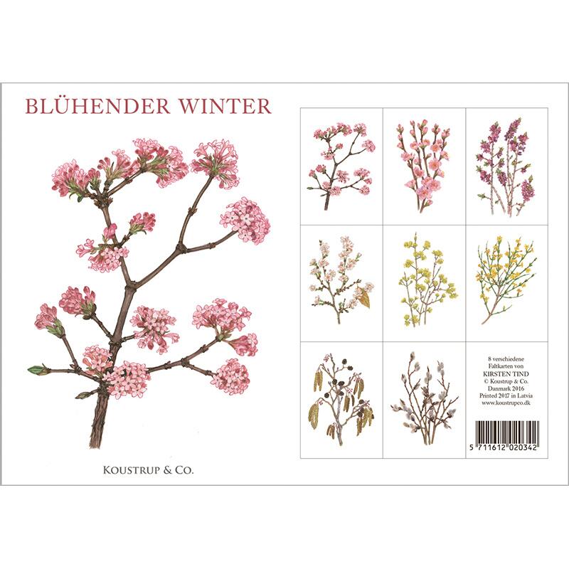BLÜHENDER WINTER - 8 cartes (allemand)