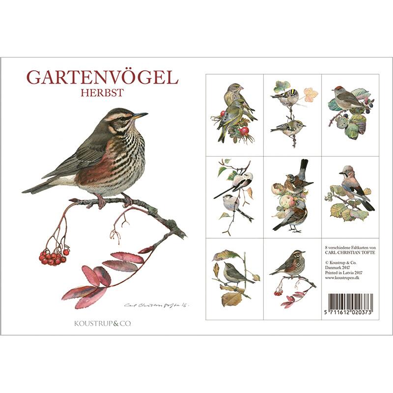 GARDEN BIRDS AUTUMN - 8 cards (german)