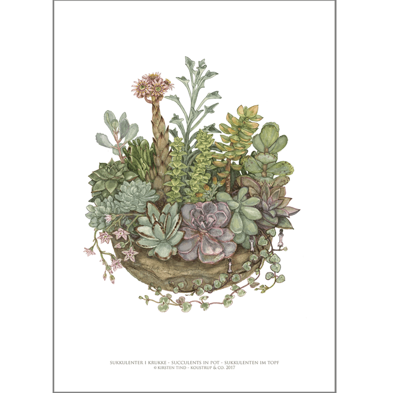 ART PRINT A3 - Plantes succulentes en pot