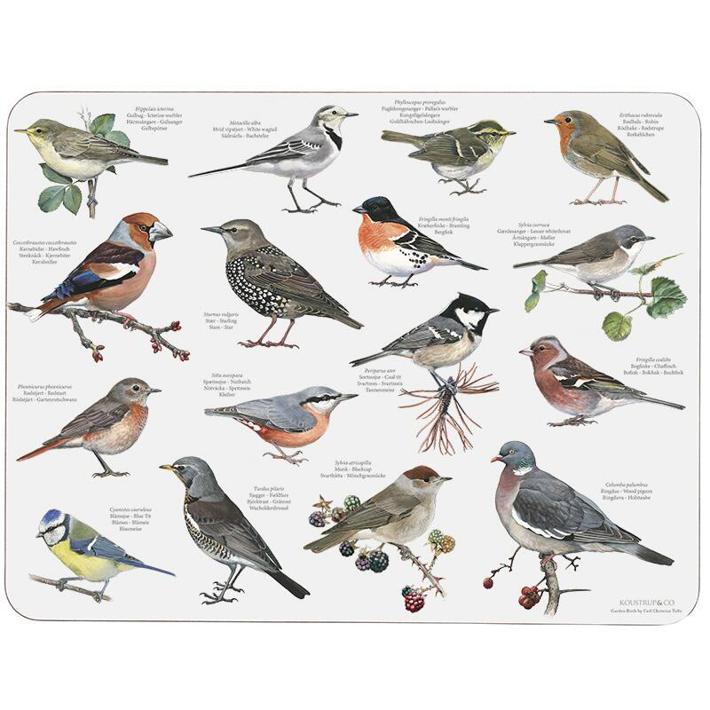 PLACEMAT - Garden birds - out of stock