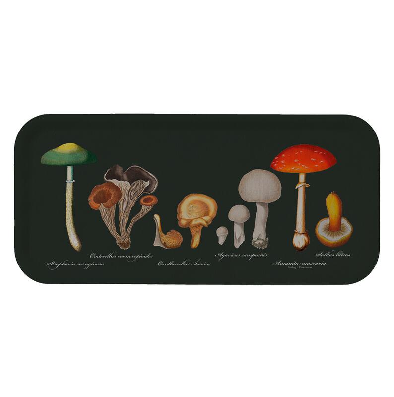 TRAY 32x15 - Mushrooms