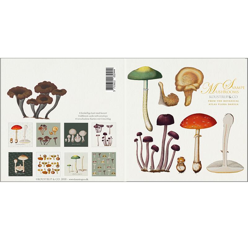 MUSHROOMS - Square card folder