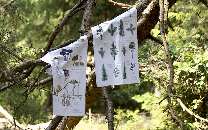 ORGANIC TEA TOWEL  with Pine trees