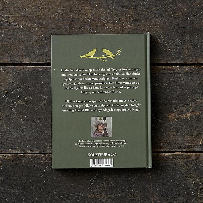 LIVRE: HJALTES KAMP - Livre pour enfants sur un garçon viking
