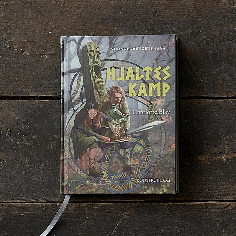 BOOK: HJALTES KAMP - Children's book about a Viking boy