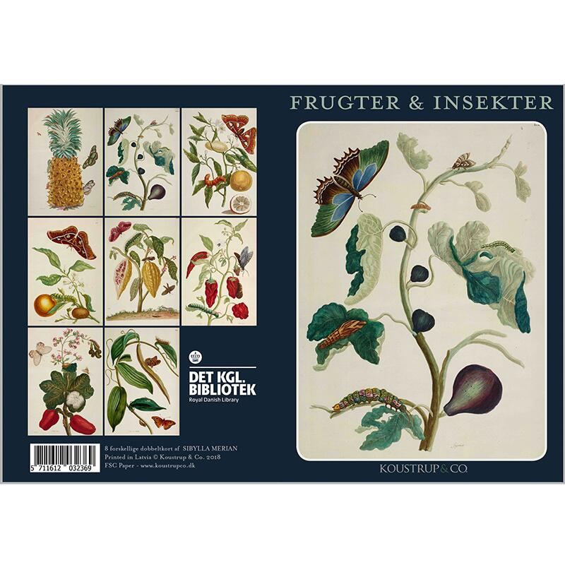FRUITS AND INSECTS - 8 cards