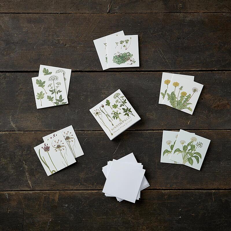 SQUARE MINI CARDS - Edible wild plants - 8.5 x 8.5 cm