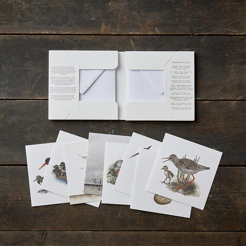 BIRDS FROM THE VADES - Square card folder