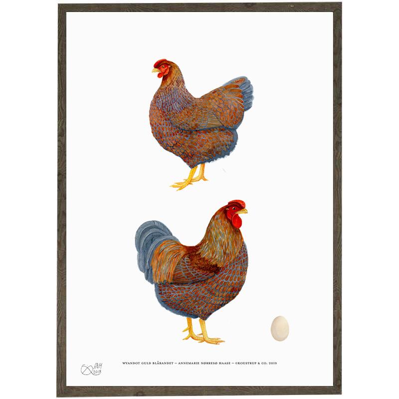 ART PRINT - Blue-laced red - CHOOSE SIZE