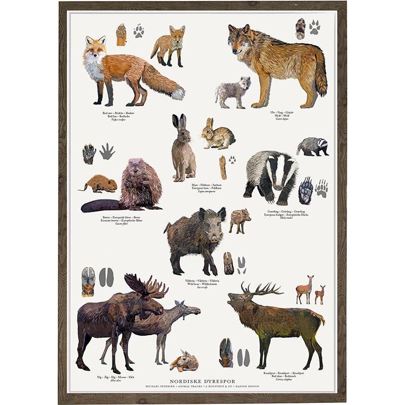 NORDIC ANIMAL TRACKS - Poster A2