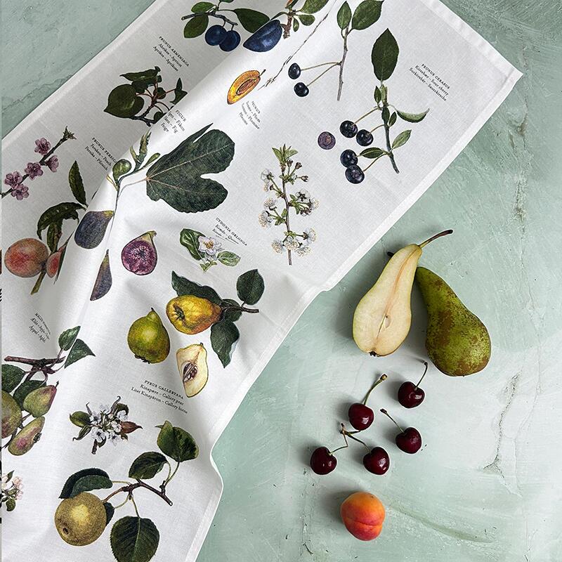 CANOVACCIO BIOLOGICO - Frutta