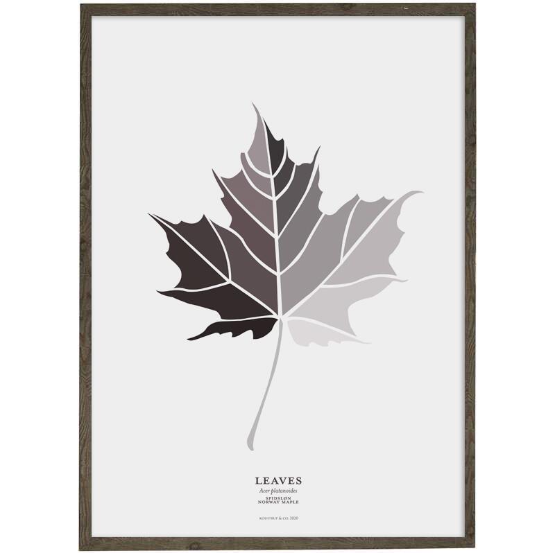 ART PRINT - Leaf (grey) Norway maple - CHOOSE SIZE