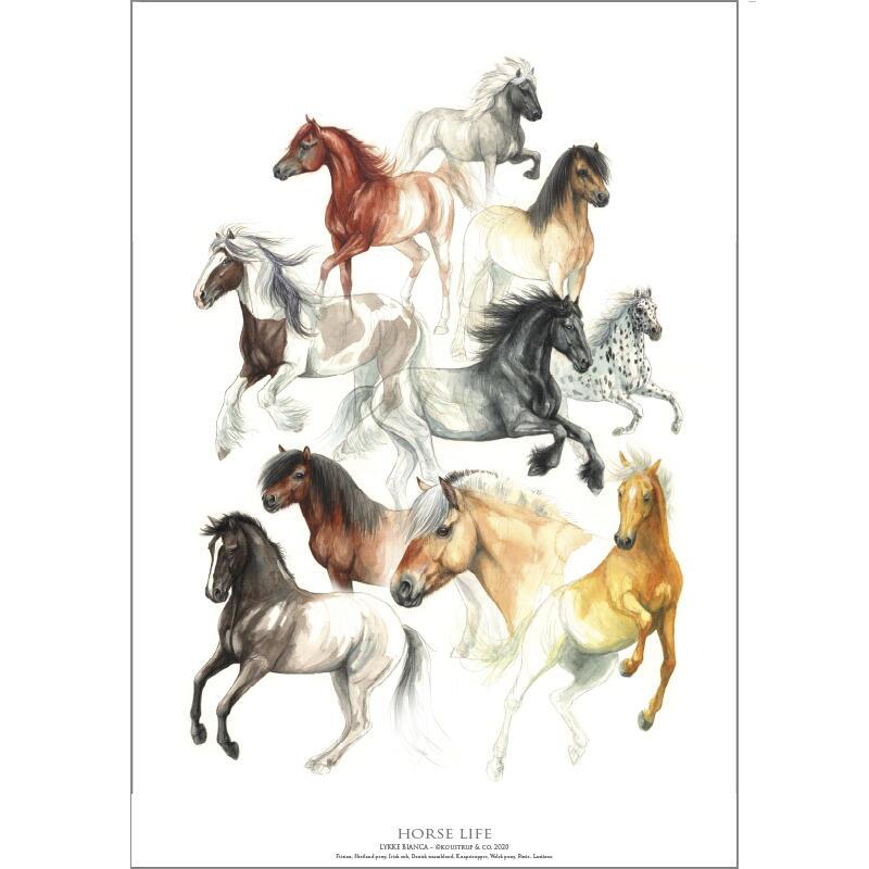 HORSE LIFE (HESTELIV) - Plakat A2