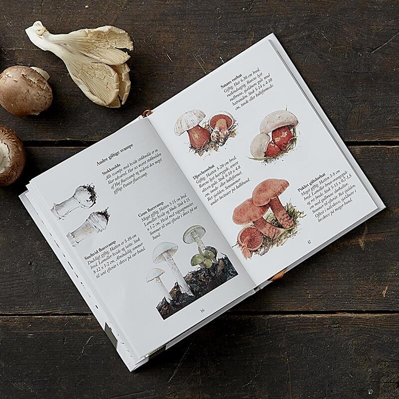 Book: Edible mushrooms (danish)