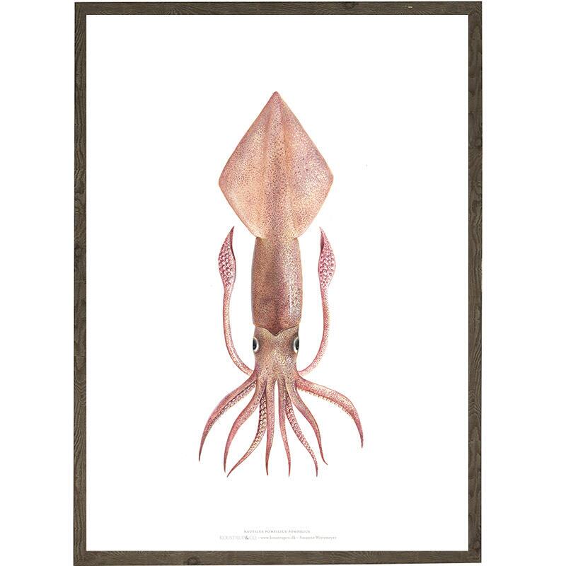 Octopus - KUNSTDRUCK - GRÖSSE WÄHLEN