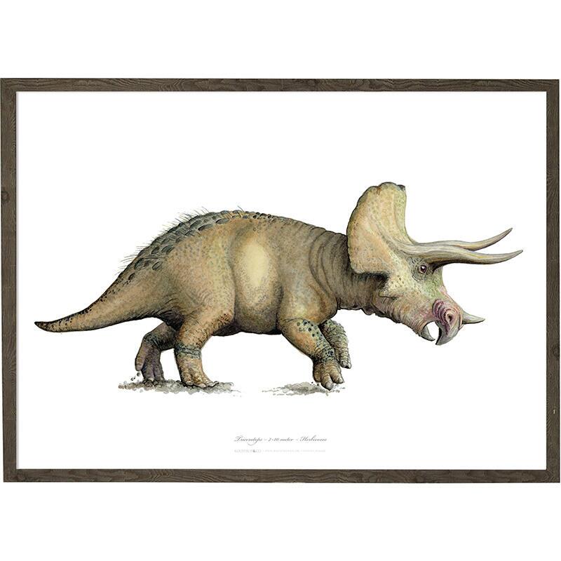 Triceratops - KUNSTDRUCK - GROßE WAHLEN