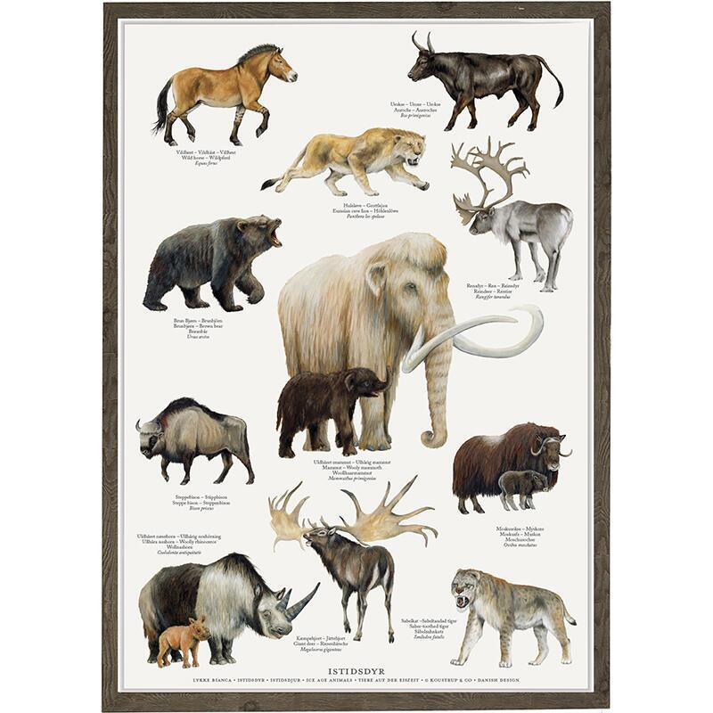 Ice Age Animals - Poster A2