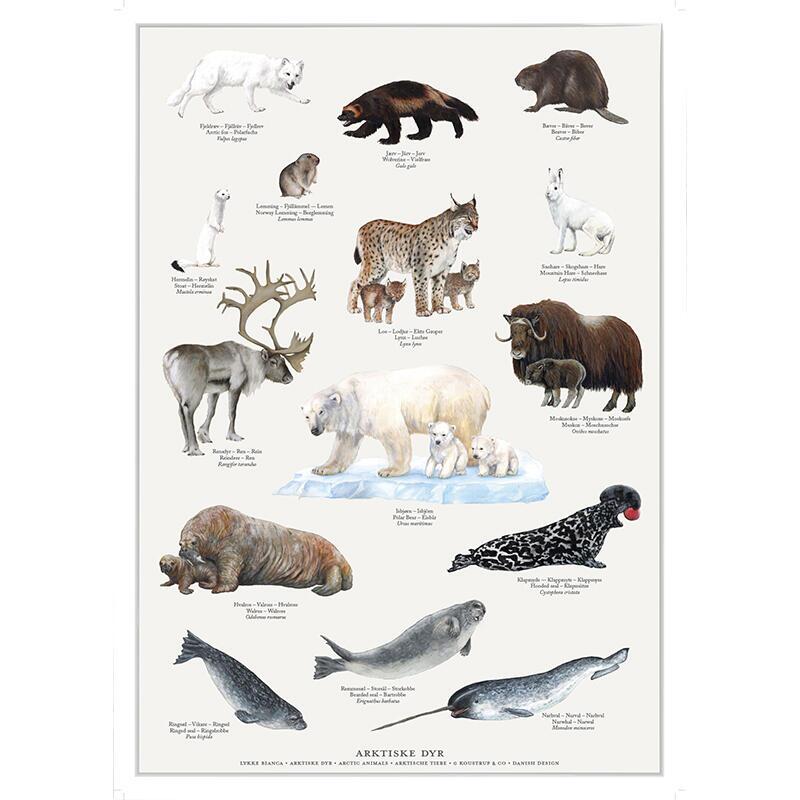 Print A4 - Arctic animals