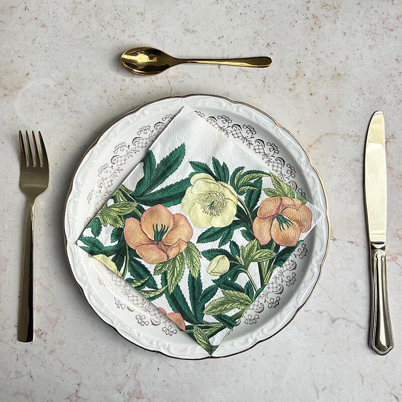 TOVAGLIOLI - Helleborus