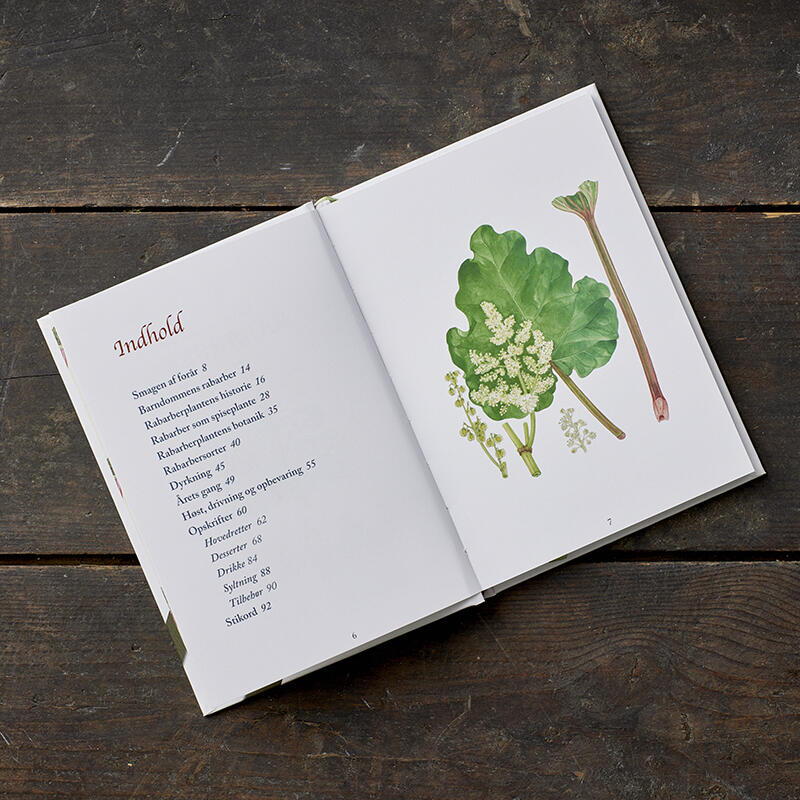 Rhubarb - History, cultivation and use (danish text)