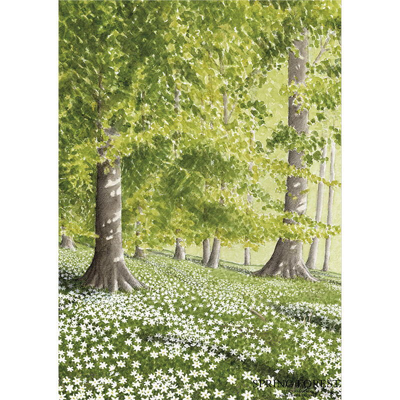 Spring forest - Carte simple A5