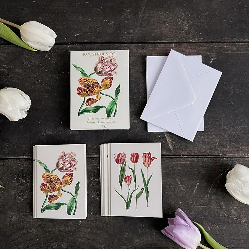 Minikarten Frühling – Tulpe