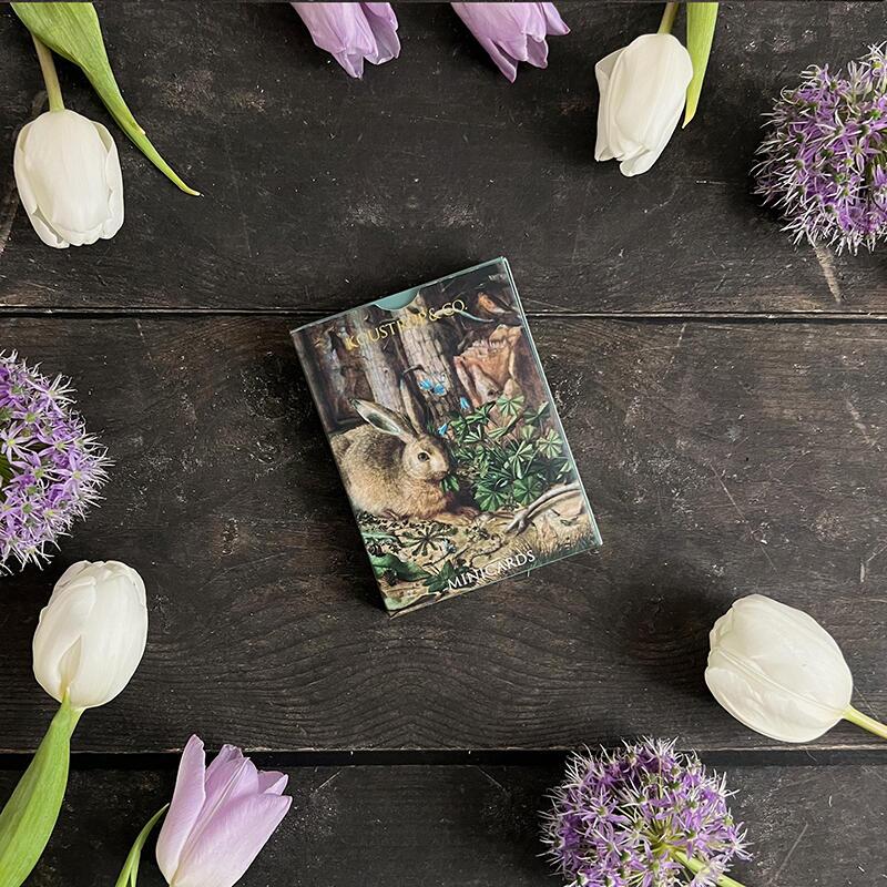 Minikarten Frühling – Hase