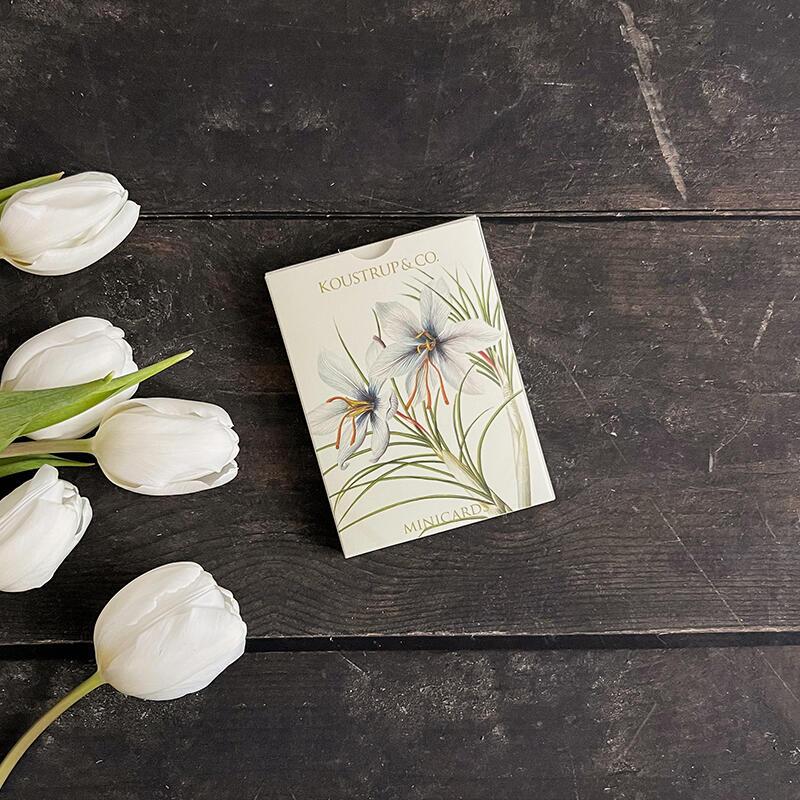 Mini-cartes Printemps – Iris