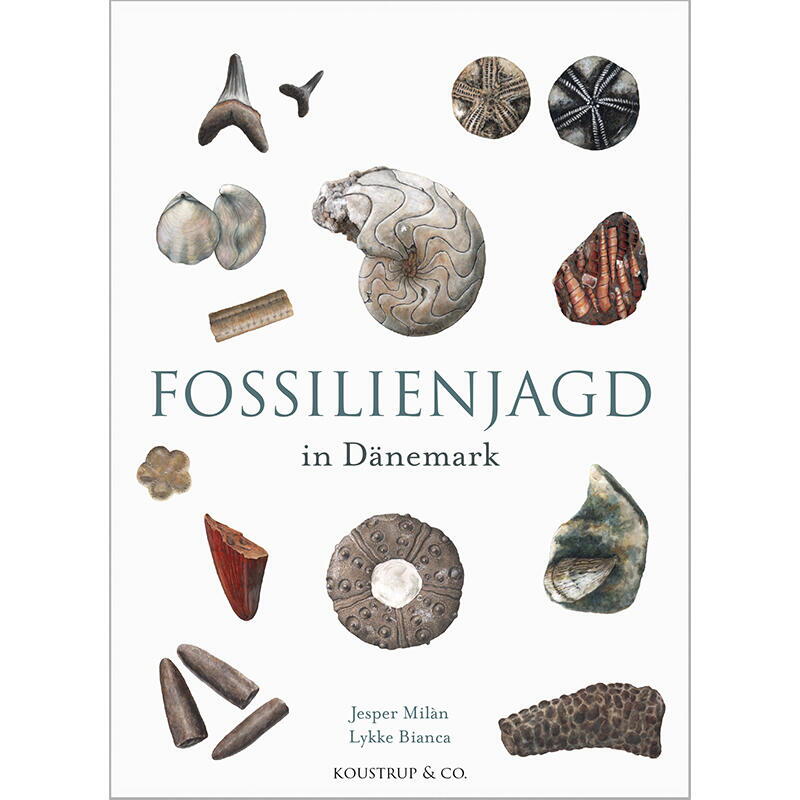 Fossilienjagd in Dänemark - DEUTSCHES BUCH