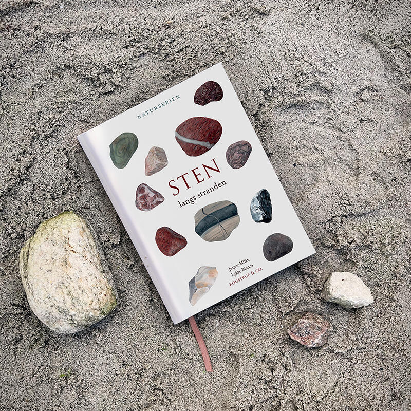 Sten langs stranden bog forside