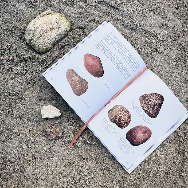 Sten langs stranden indhold