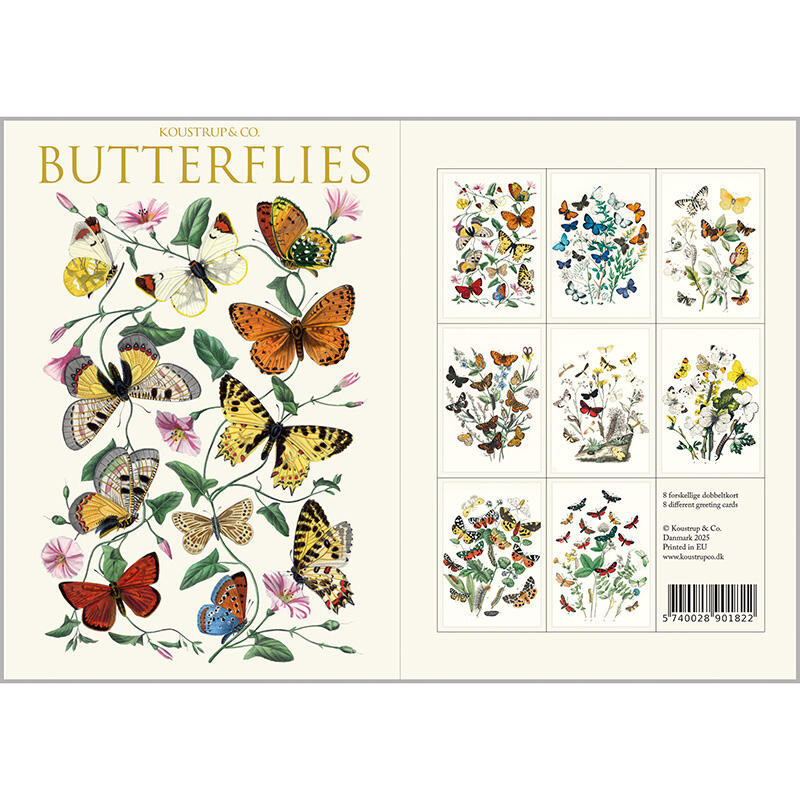 BUTTERFLIES - 8 kort