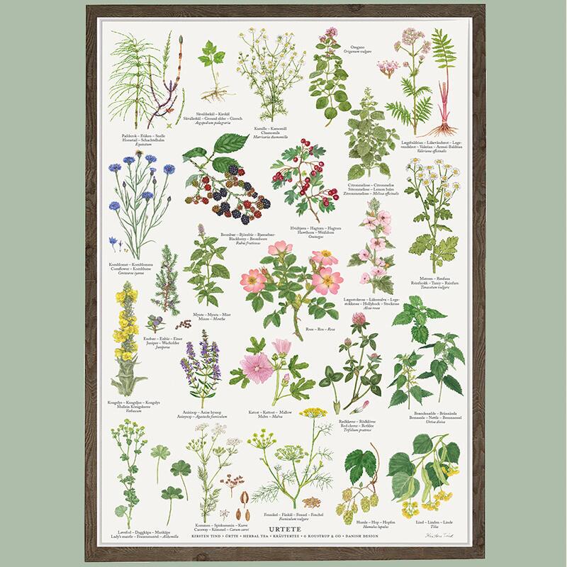 URTETE - Plakat A2