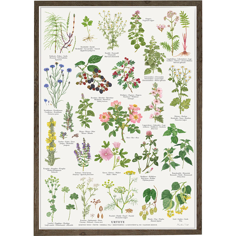 A4 PRINT - Herbal Tea - PRE-ORDER (Arrives 1 February 2026)