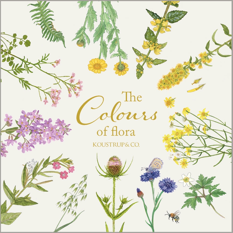 FLORA - Kvadratisk kortmappe - TIL FORUDBESTILLING (Kommer 15. februar 2026)
