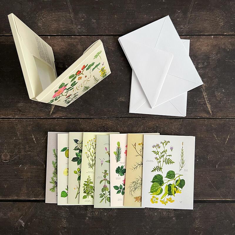 HERBAL TEA - 8 CARDS