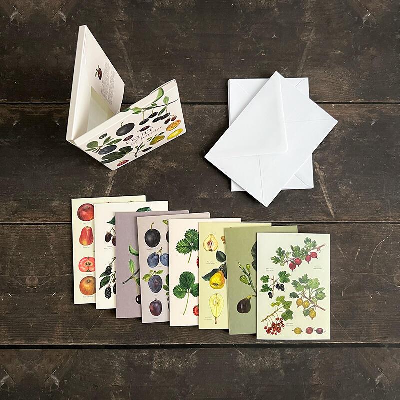 FRUIT & BERRIES - 8 CARDS
