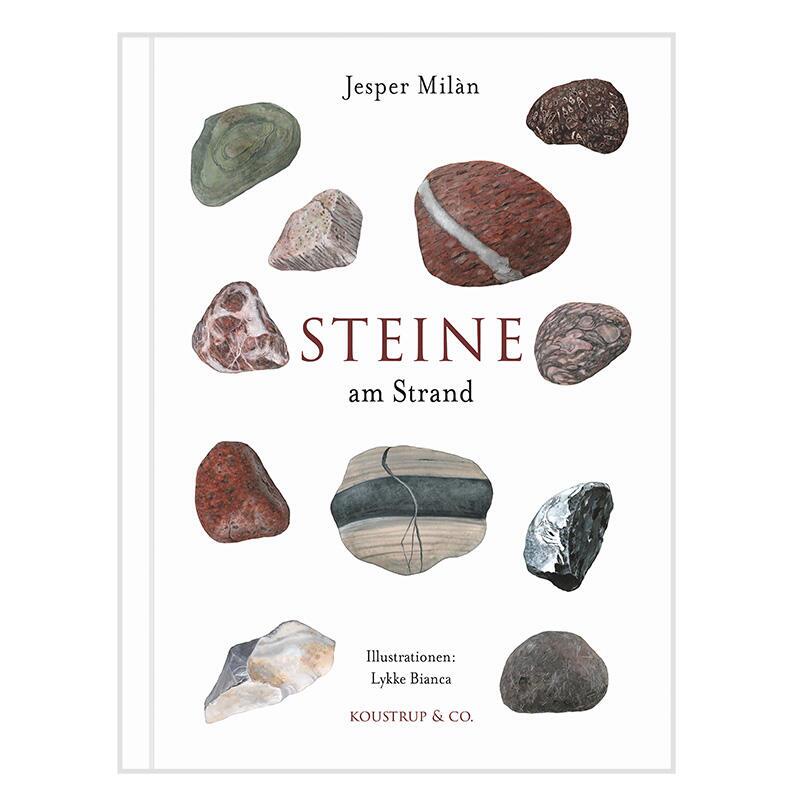 Steine am Strand - DEUTSCHES BUCH - ENNAKKOTILAUS (Ilmestyy 6. maaliskuuta 2026)