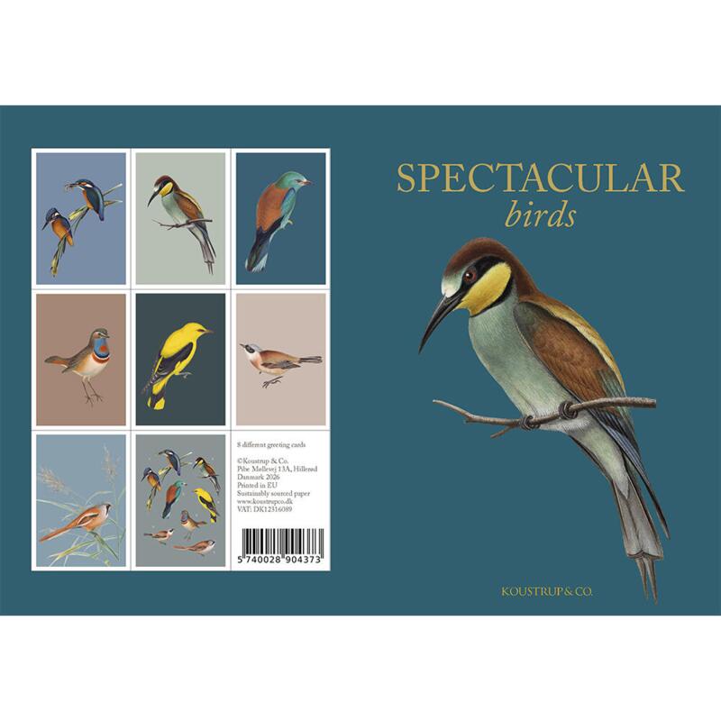 SPECTACULAR BIRDS - 8 KORT - TIL FORUDBESTILLING (kommer i slutningen af august)