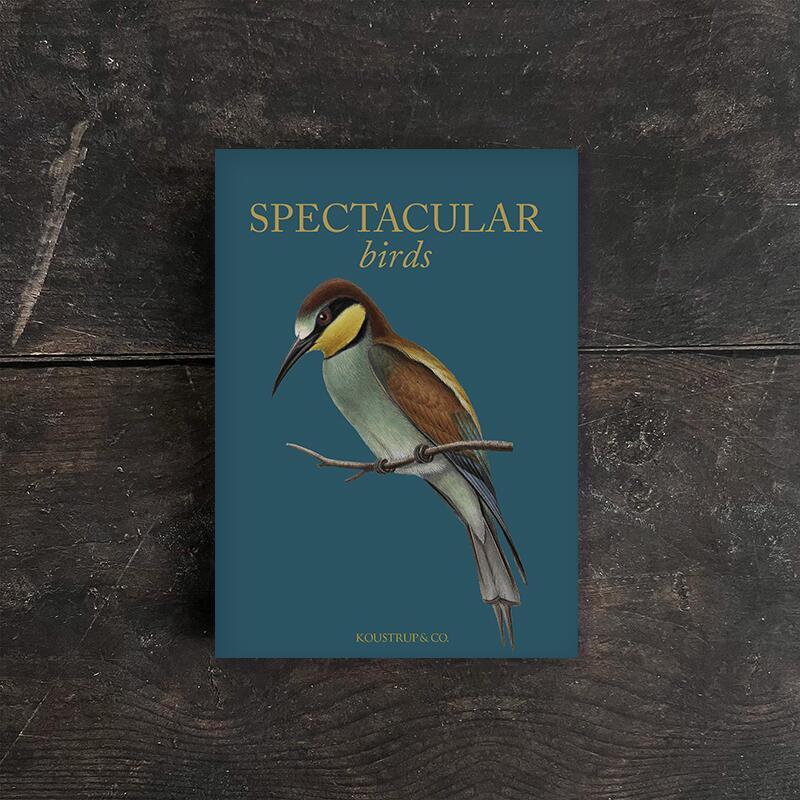SPECTACULAR BIRDS - 8 KORT - TIL FORUDBESTILLING (kommer i slutningen af august)