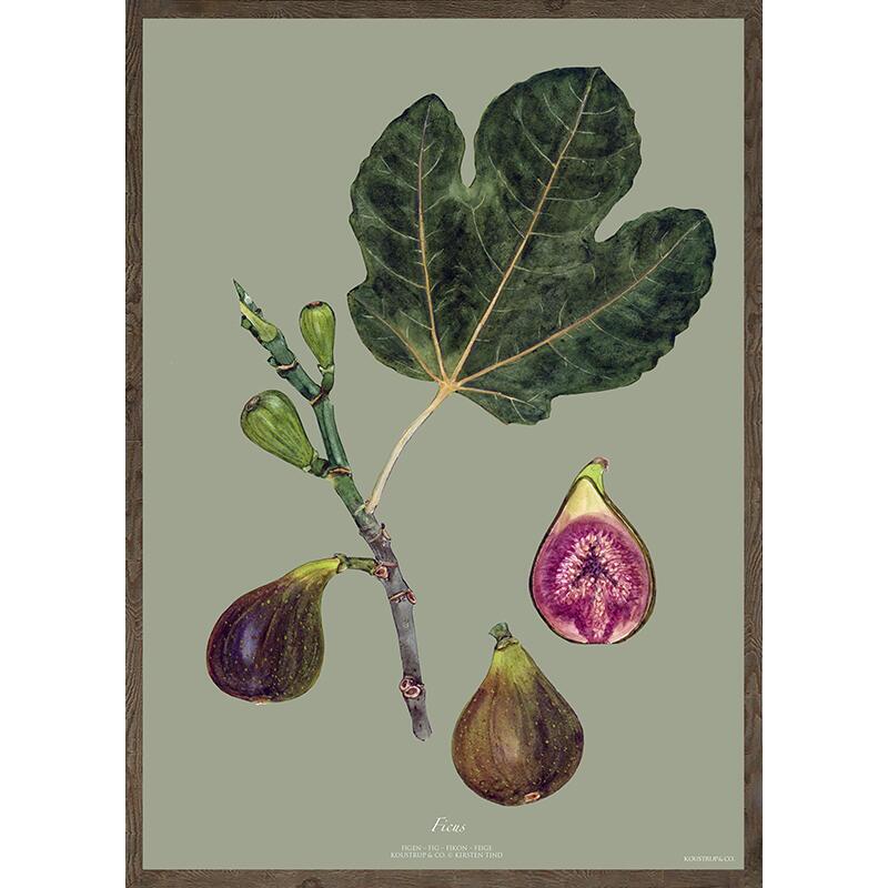 GREEN FIG - KUNSTPRINT - VÆLG STØRRELSE