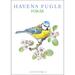 GARDEN BIRDS SPRING - 8 cards