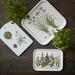 SQUARE TRAY 32x32 - Chives