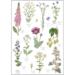 Organic Dish Towel - Klosterhaven