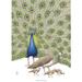 ART PRINT A3 - Blue peafowl