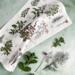 STROFINACCIO BIOLOGICO - Erbe aromatiche