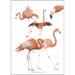 UTSKRIFT A4 - ZOO Flamingo